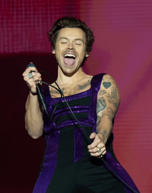 Harry Styles Love On Tour Furious Slane Castle Jumpsuit Super Star Jacket