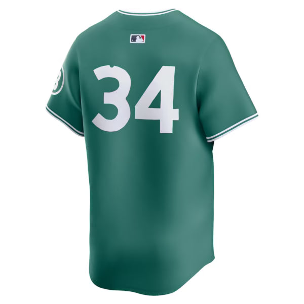 Men's Boston Red Sox David Ortiz Nike Green 2025 Jersey Superstar Jacket